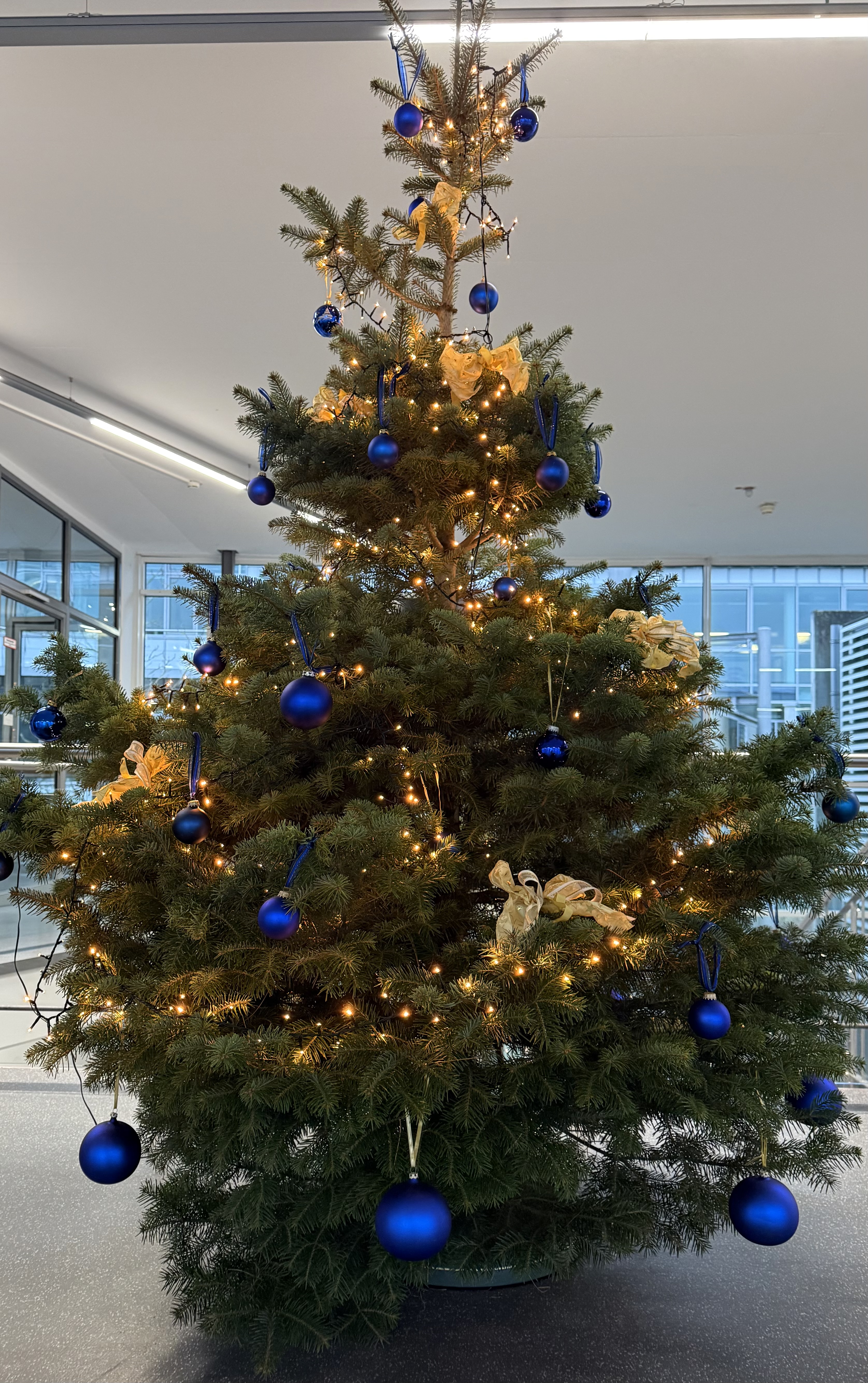 Weichnachtsbaum geschmückt